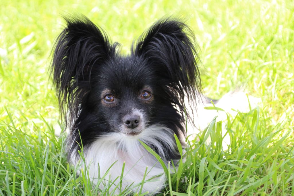 Mademoiselle dorothée dit mady au Royaume D'ultra