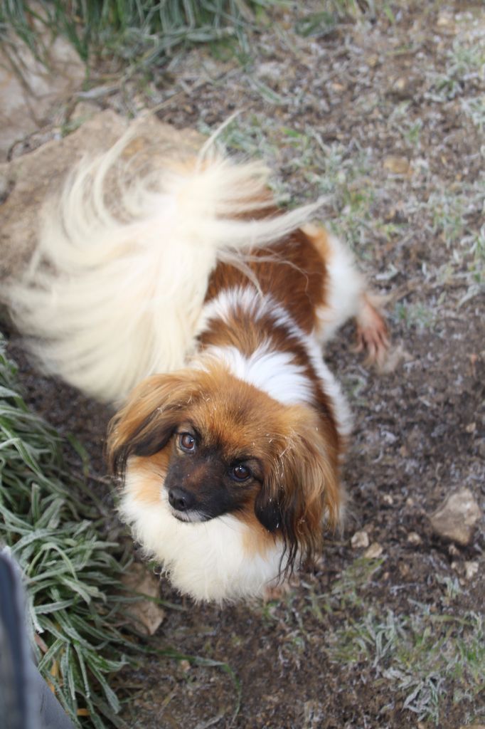 Show me love Du Royaume Des Licornes